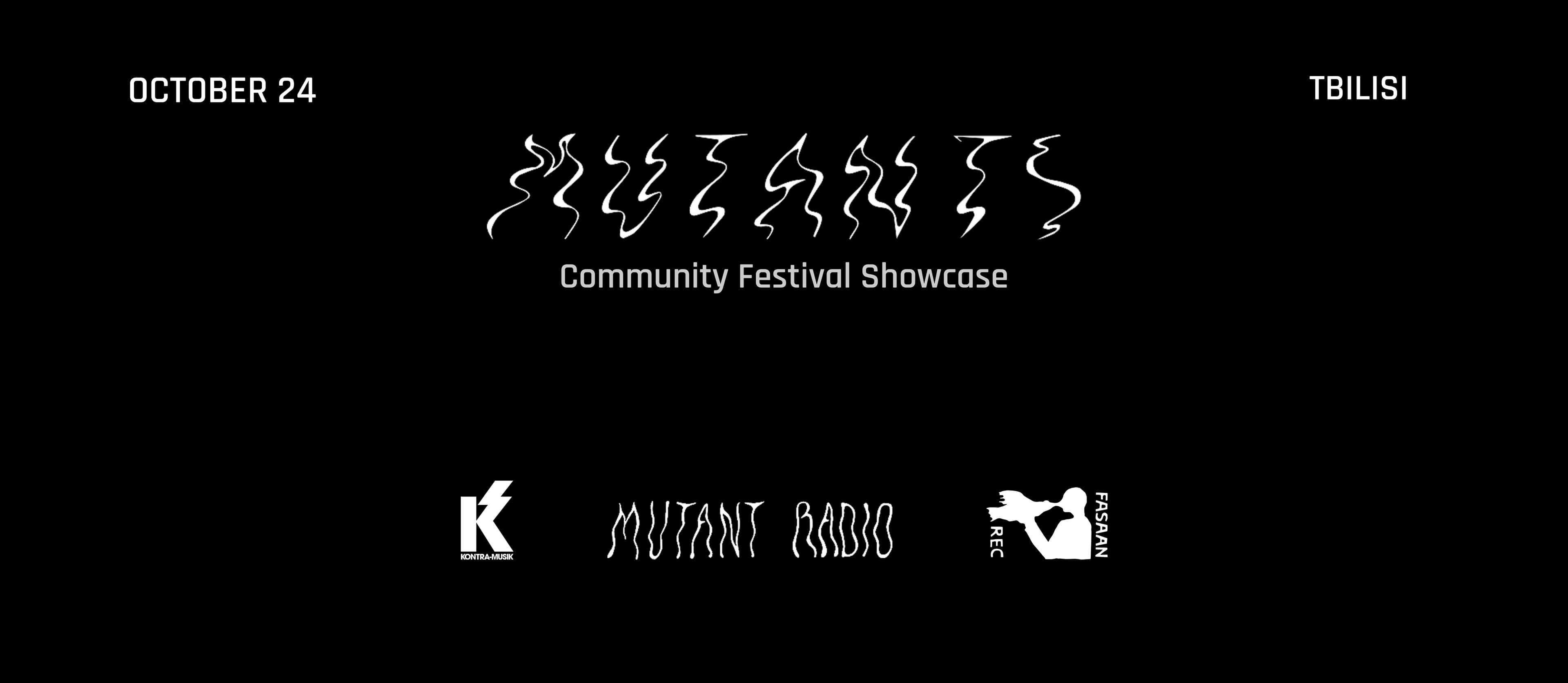 Festival Showcase